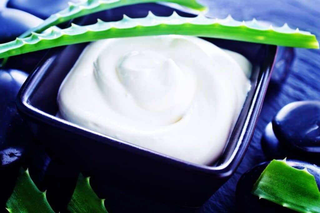 aloe vera avec boîte de lotions pour application comme après soleil