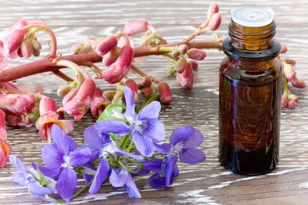 fleurs de bach des élixirs naturels au service de la gestion émotionnelle pour perdre du poids