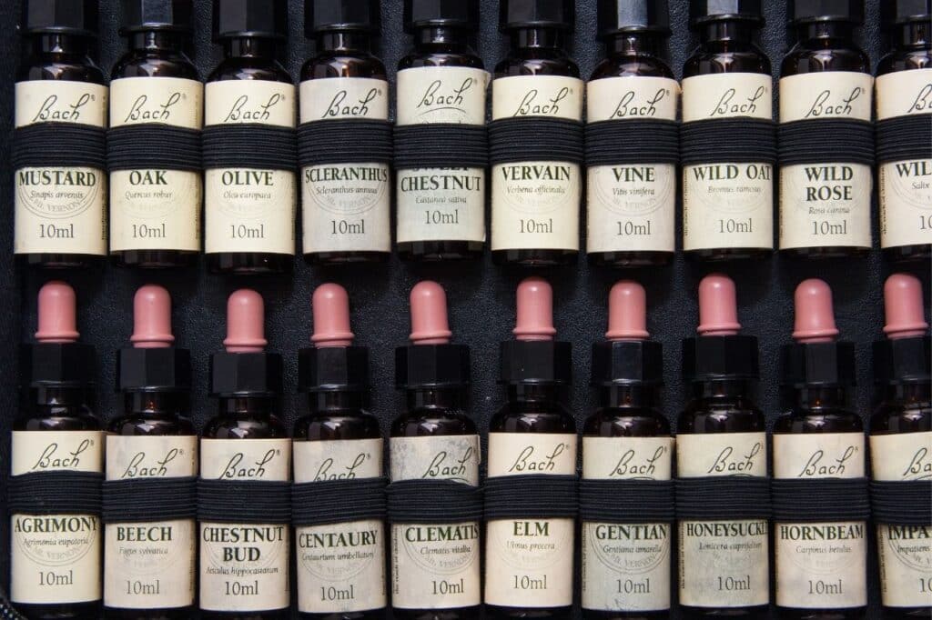 quelles fleurs de bach choisir selon les émotions qui freinent la perte de poids