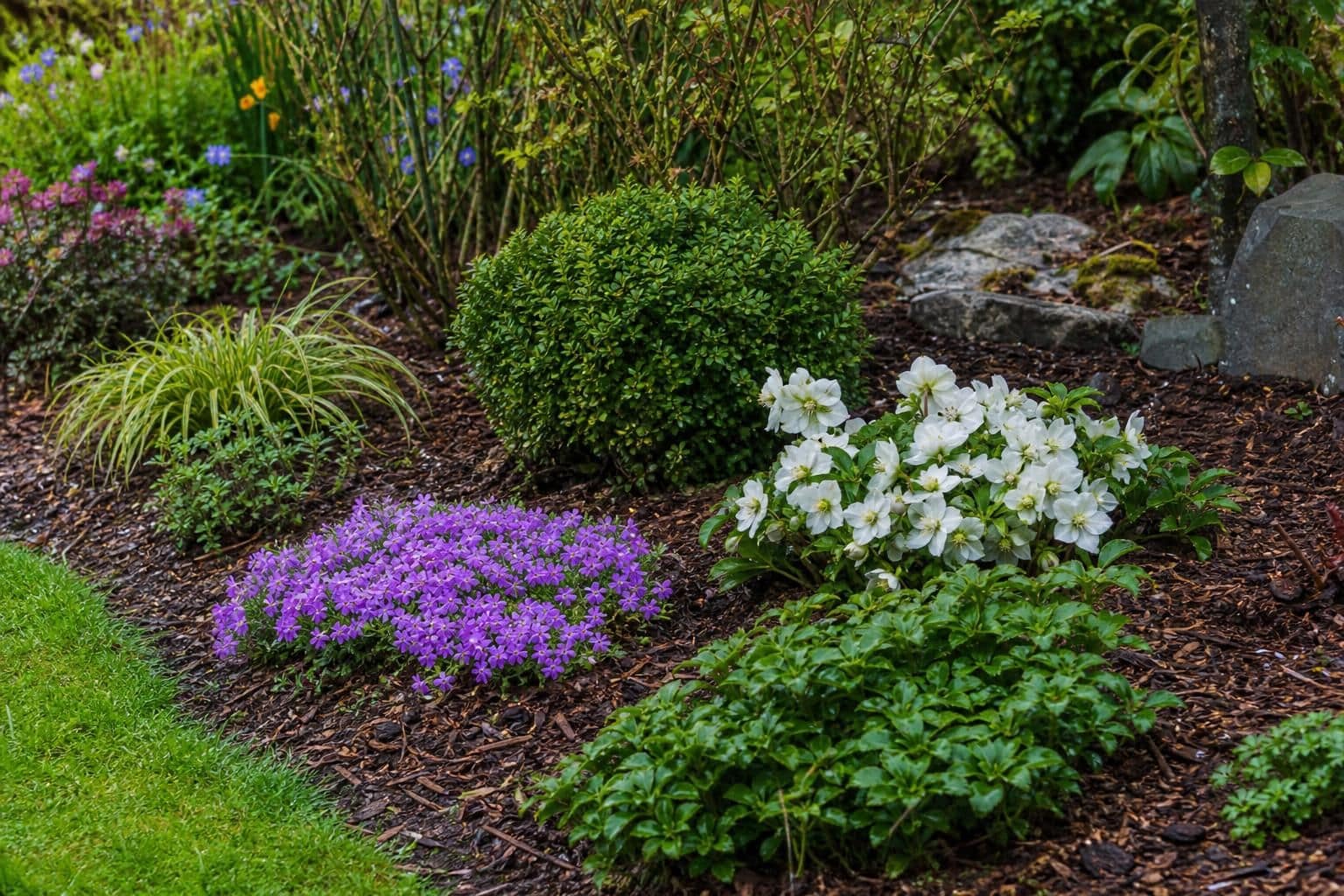 découvrez des astuces pratiques pour créer un jardin facile d'entretien, idéal pour les personnes occupées qui manquent de temps mais souhaitent un espace vert agréable.
