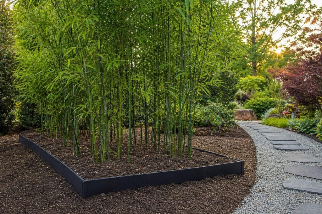 découvrez nos conseils pour planter du bambou sans qu'il devienne envahissant et maîtrisez sa croissance facilement dans votre jardin.